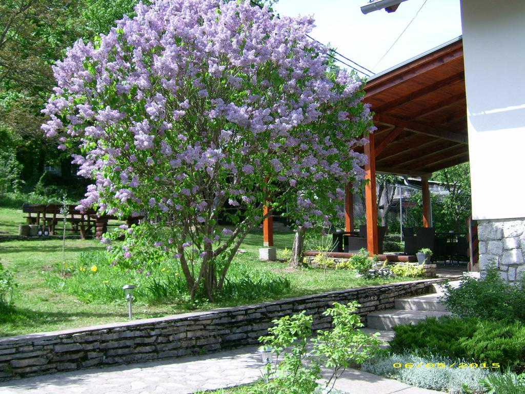 Vila Vuk Plitvicka Jezera Exterior photo